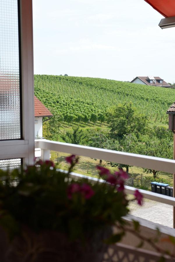 Ferienwohnung Seaview Meersburg Kültér fotó